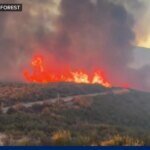 California Inferno: Record-Breaking Heatwave Pushes Power Grid and Patience to the Brink