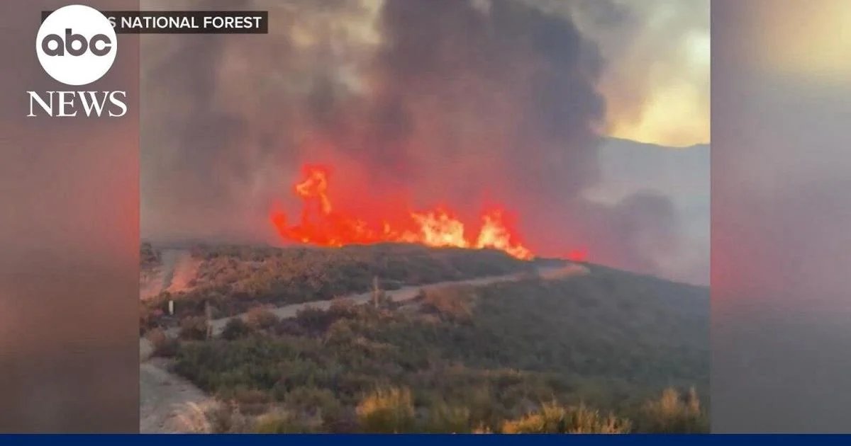 California Inferno: Record-Breaking Heatwave Pushes Power Grid and Patience to the Brink