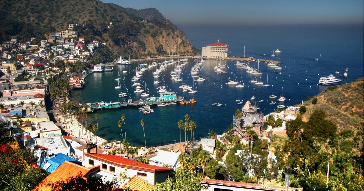 Catalina Island Mogul Hit With $1.5 Million Judgment Over Stolen Wages