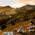 Ceredigion’s Cold Shoulder: Welsh Government Rejects North Wales National Park Bid