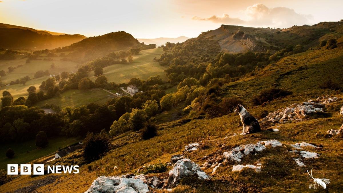 Ceredigion’s Cold Shoulder: Welsh Government Rejects North Wales National Park Bid