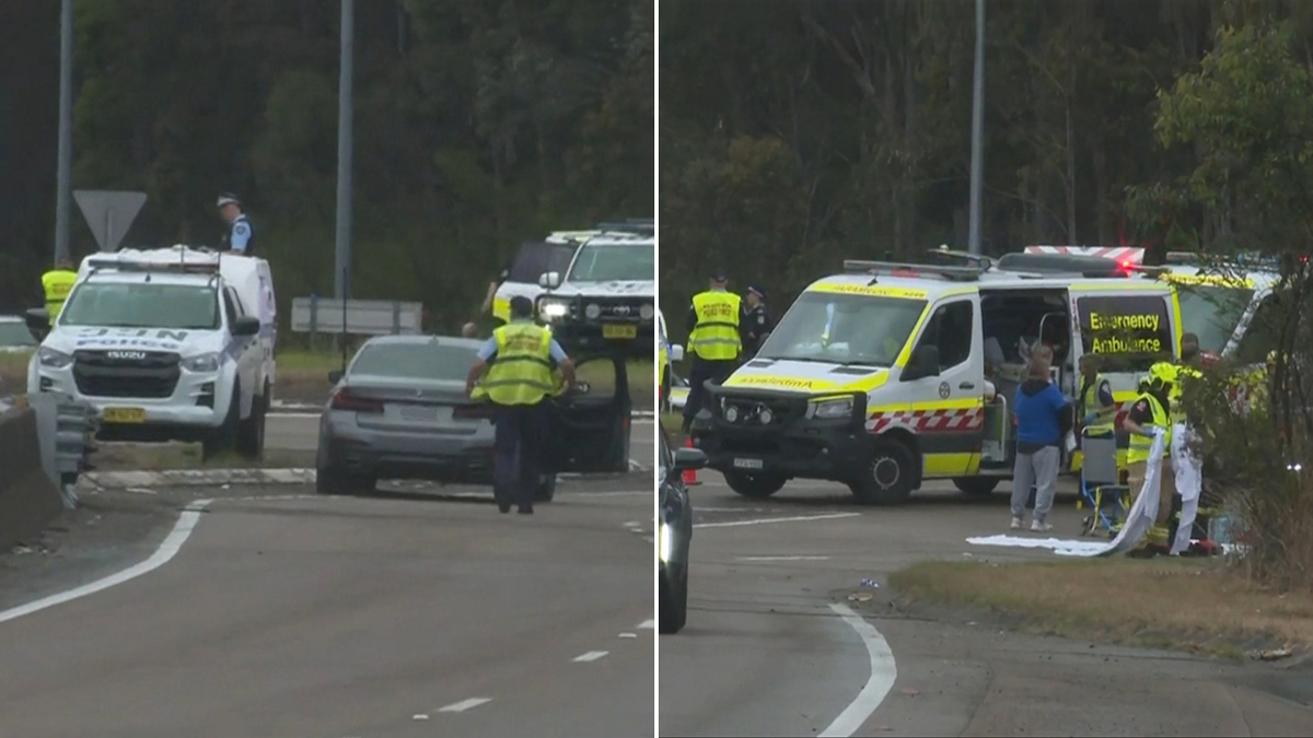Chaos in Newcastle: Car Plows Into Crowd of NRL Fans Leaving Multiple Injured