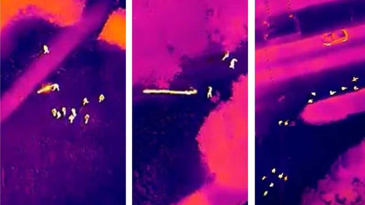 Chaos in the Commons: Teen Mob Unleashes Firework Barrage on Police Amid Park Riot