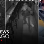 Chicago’s NW Side Reeling After Spate of Overnight Smash-and-Grabs Hits Over 20 Businesses