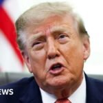 Cross-Border Clash: Trump Faces New Legal Front Over Canadian Tariff Strategy