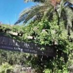 Cultivating the Wild: The Perpetual Evolution of Jacksonville Zoo’s Hidden Botanical Gem
