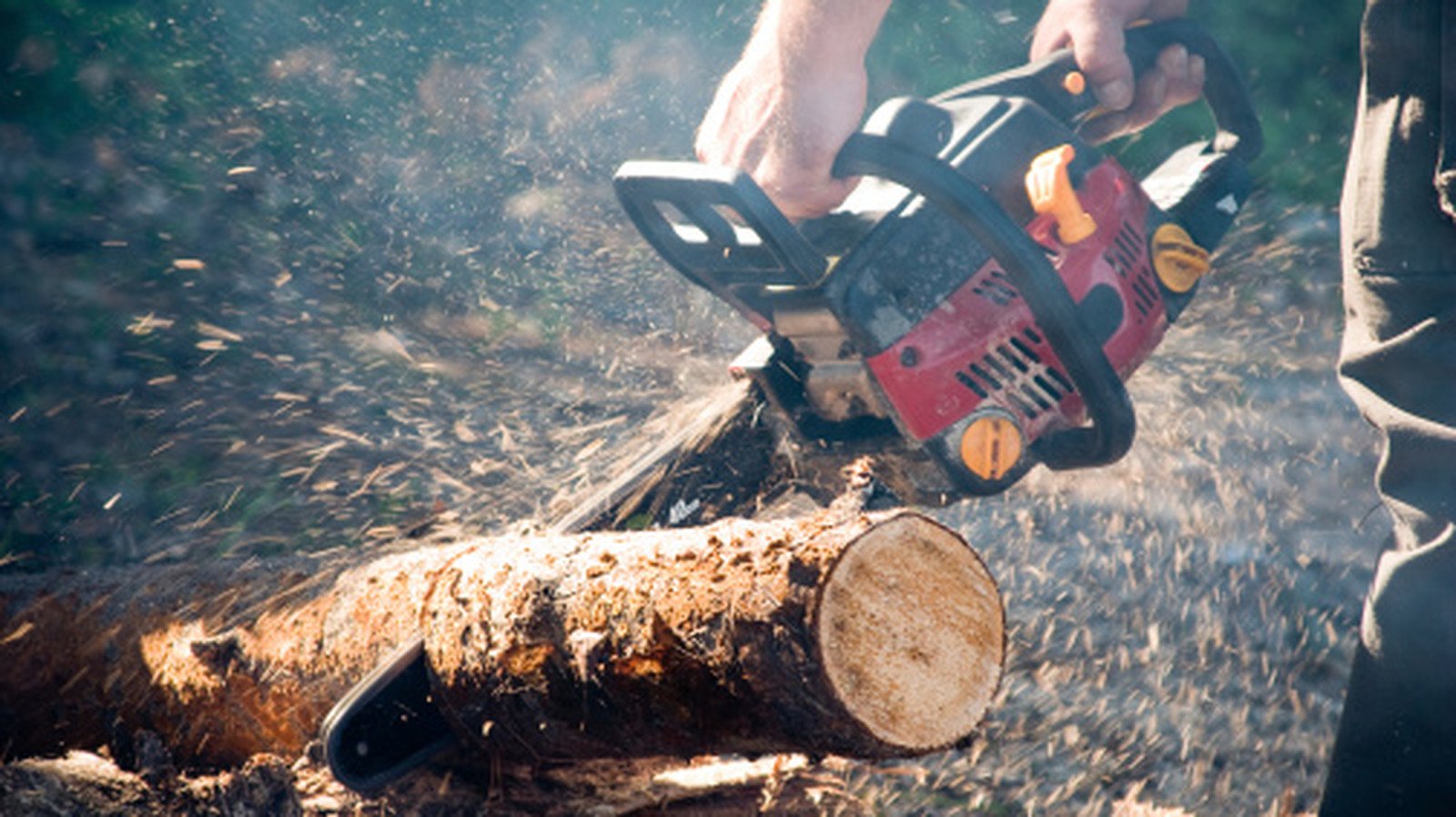 Cut Through the Clutter: The Pocket-Sized Amazon Hack That Keeps Your Chainsaw Razor-Sharp