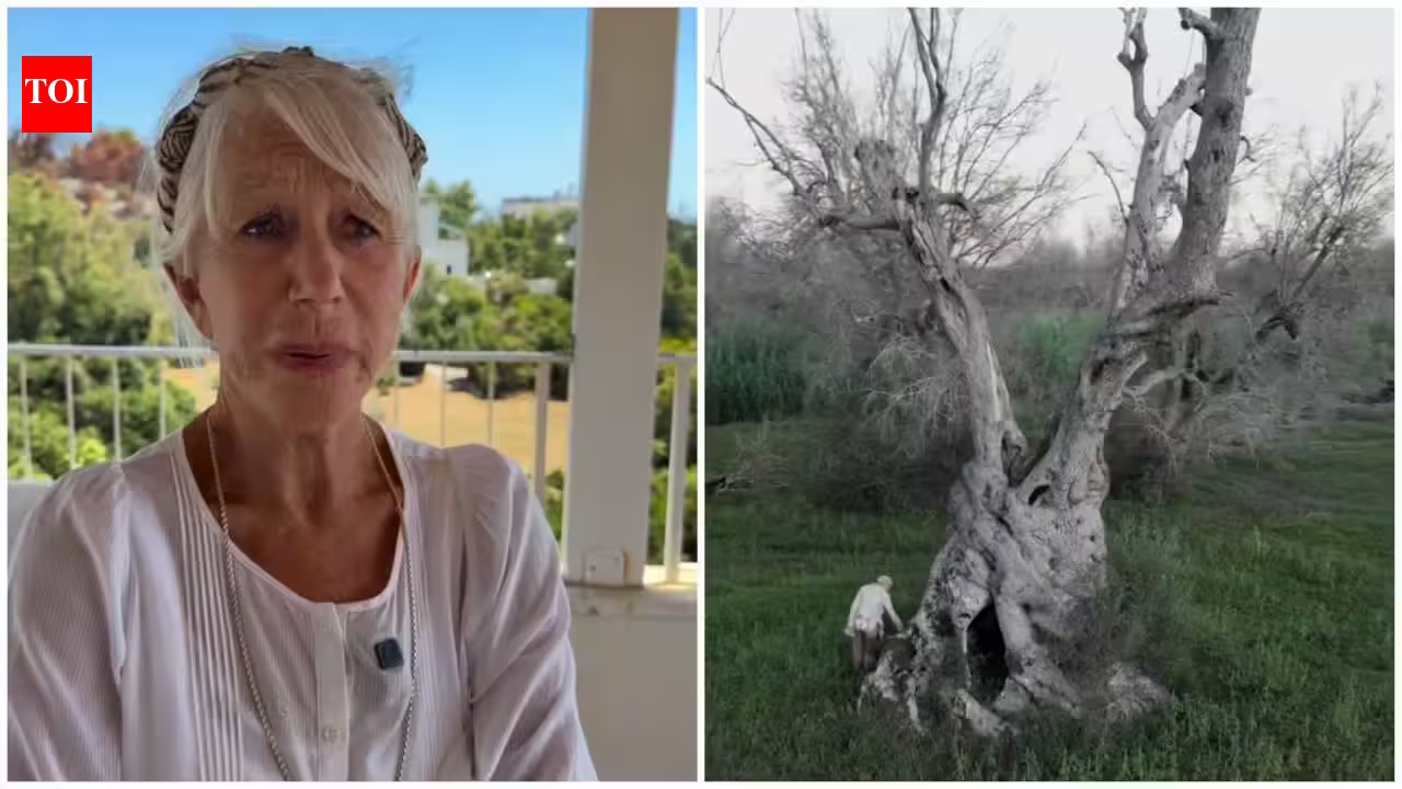 Dame Helen Mirren Joins Desperate Fight to Save Italy’s Ancient Olive Groves from Deadly Blight