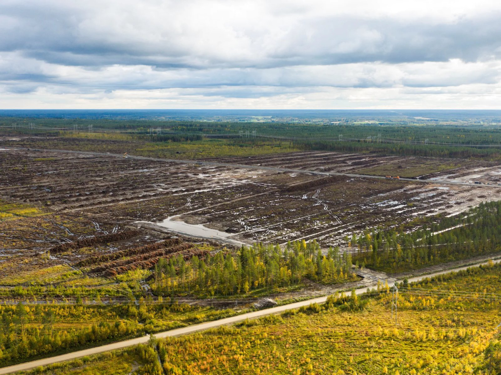Data Center Downpour: Google Faces Criminal Probe Over Finland Environmental Fallout
