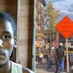 Deadly Encounter: ICE Agent Shoots Driver in Marble Hill Traffic Stop