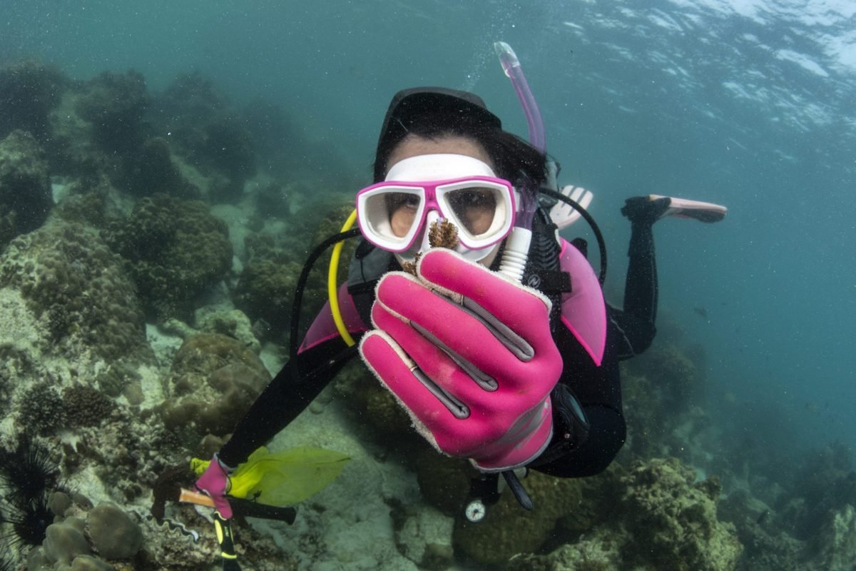 Deep-Sea Drifters: Tiny Ocean Pioneers Set to Conquer the Final Frontier