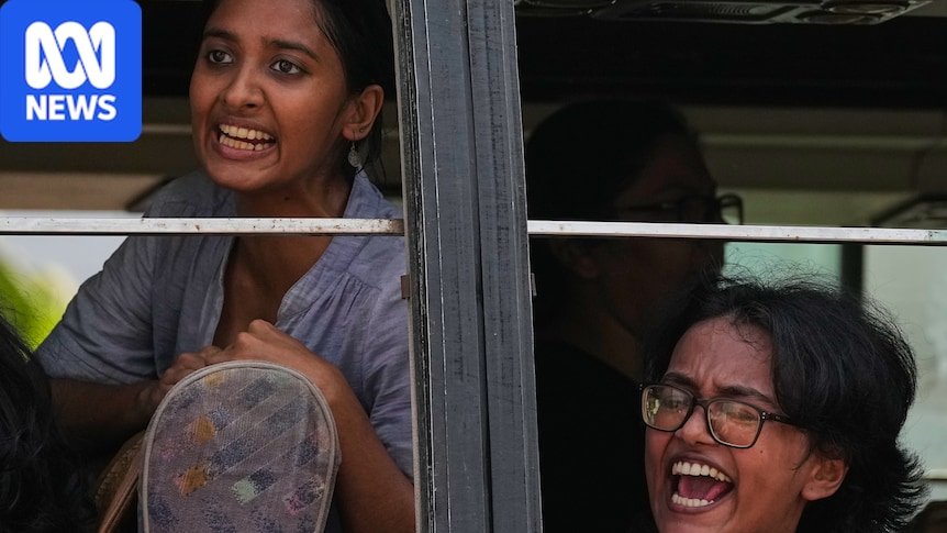 Delhi’s Roach Rebellion: Detained Protesters Vow to Infest Streets Again