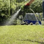 Dethatch to Thrive: The One Lawn Essential Your Grass Craves Right Now