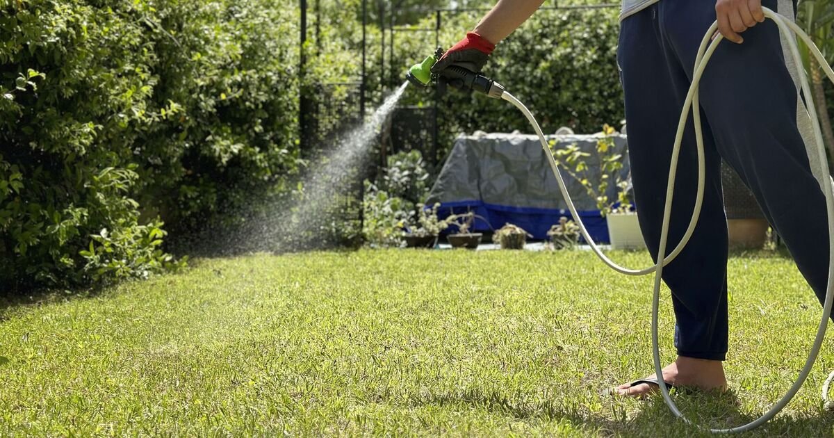 Dethatch to Thrive: The One Lawn Essential Your Grass Craves Right Now