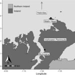 Digital Giants: New Model Decodes the Secret Social Lives of Basking Sharks