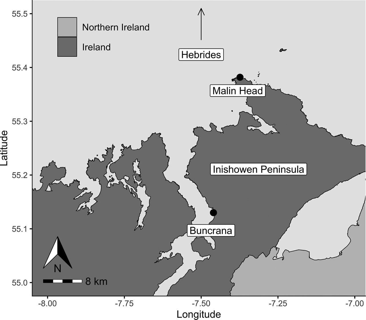 Digital Giants: New Model Decodes the Secret Social Lives of Basking Sharks