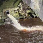 Draining Trust: Yorkshire Water Slumps to Lowest Environmental Tier