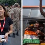 Dressed as Vermin: Why Delhi’s ‘Cockroach’ Protestors Were Forced Underground