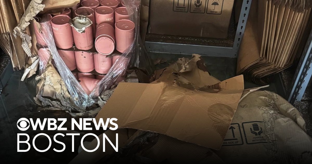 Drowned Dreams: Hull Small Business Owner Left Devastated After Storage Unit Deluge