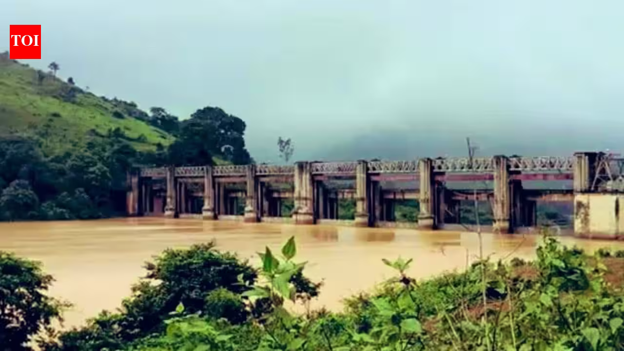 Dry Dams and Dark Skies: Hydro Shortfall Squeezes Grid After Sunset