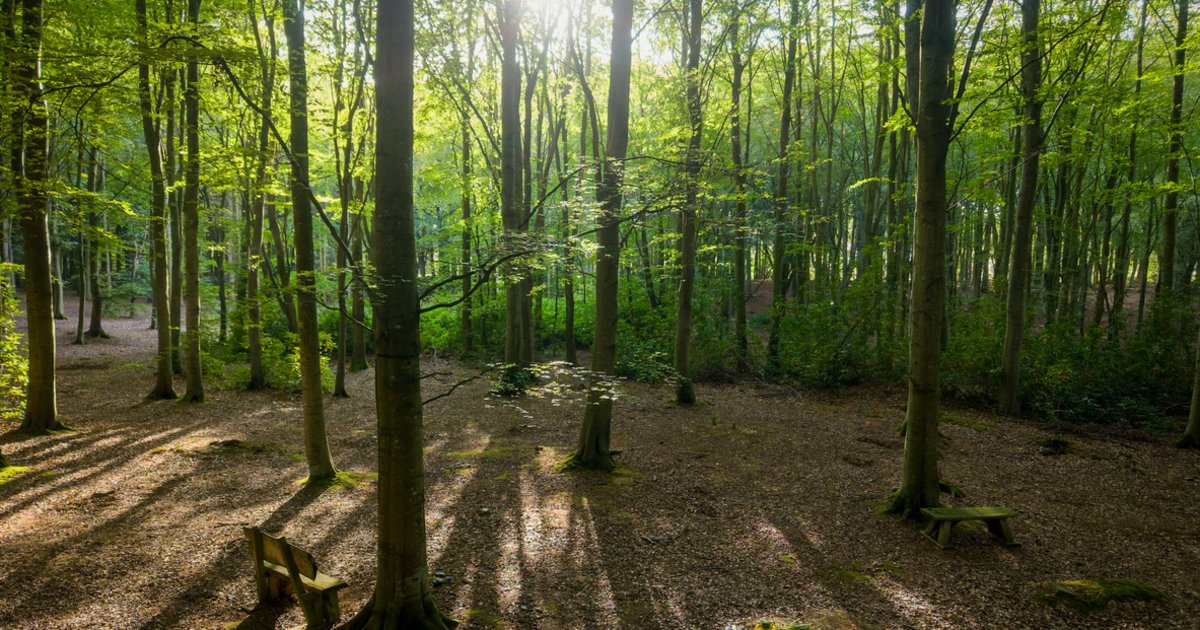 Dust to Dust: Reclaiming the Final Footprint