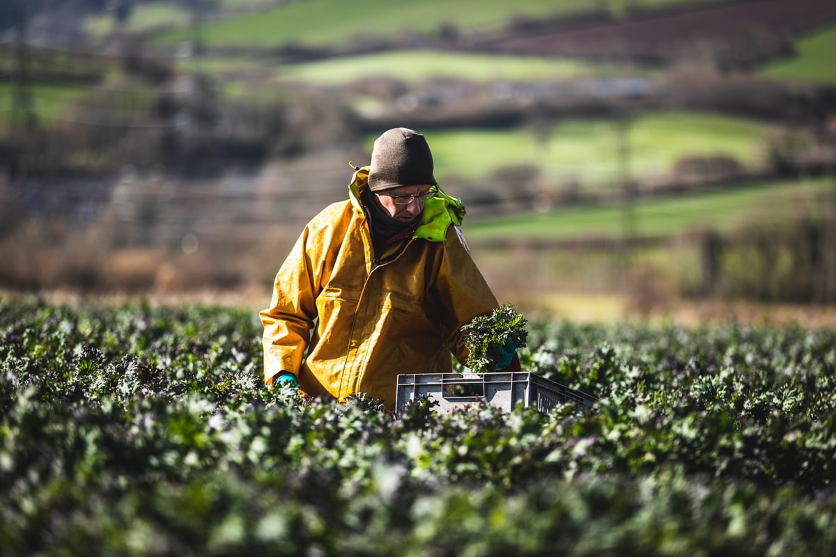Eagle Targets 10%: The Radical Blueprint to Double England’s Organic Heartland