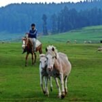 Echoes of Brenwar: Unveiling the Soul of a Himalayan Hamlet