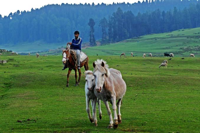 Echoes of Brenwar: Unveiling the Soul of a Himalayan Hamlet