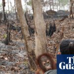 Empty Promises and Hollow Pledges: The Crisis of Credibility Plaguing COP17