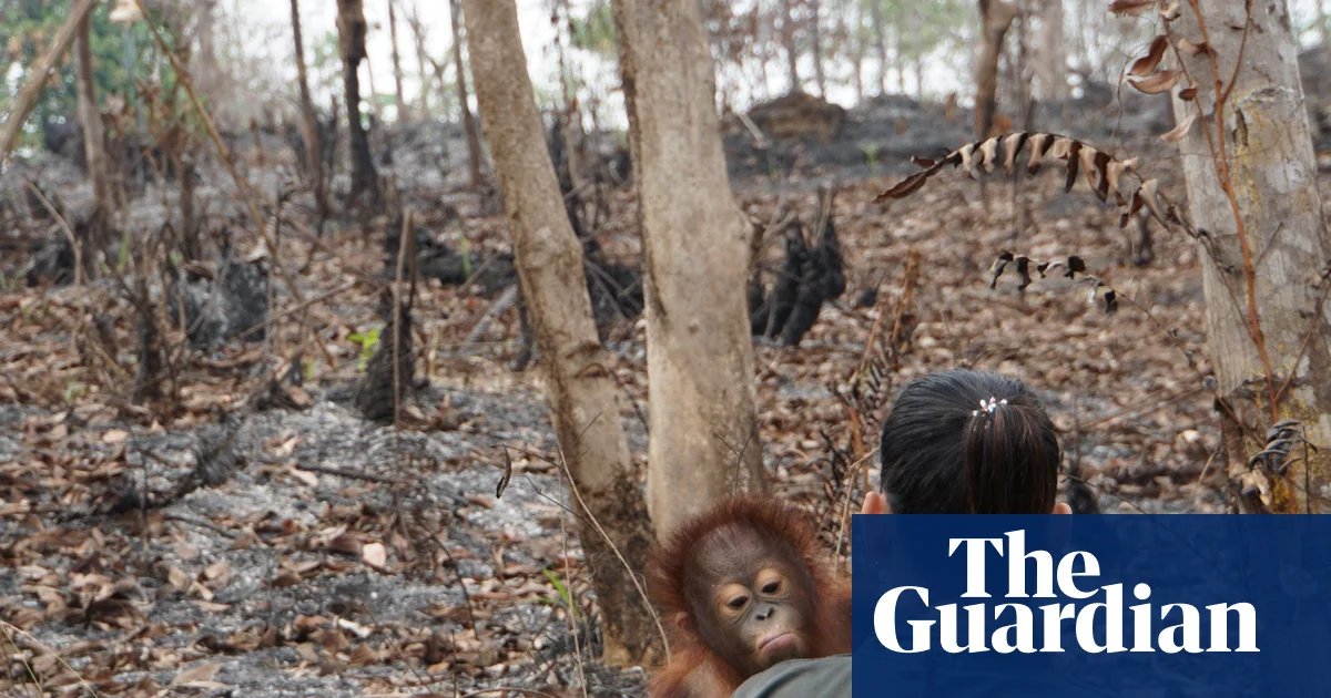 Empty Promises and Hollow Pledges: The Crisis of Credibility Plaguing COP17