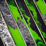 Faded Horizons: The Unfiltered Lens on a Planet Under Siege