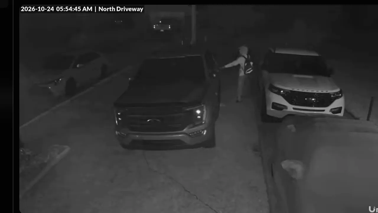 Family Guy Fugitive: Suspect Flees Crime Scene Wearing Stolen ‘Stewie Griffin’ Backpack