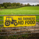 Farm Payments Cleared: Eco-Friendly Farming Isn’t Emptying Your Grocery Cart