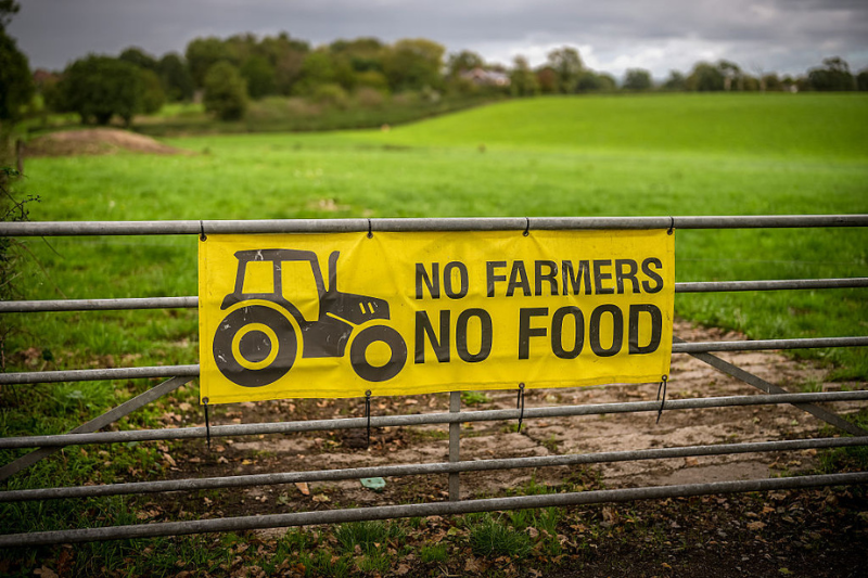 Farm Payments Cleared: Eco-Friendly Farming Isn’t Emptying Your Grocery Cart