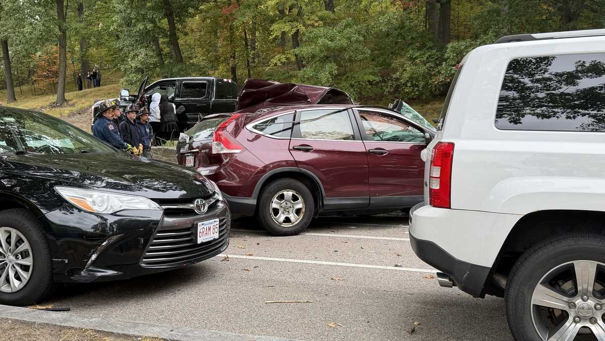 Fatal Boston Collision Leaves One Dead, Another Hospitalized as Investigation Widens