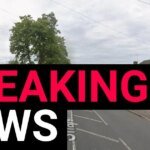 Fatal Collision Claims Teenager’s Life: Man Held Following Tragedy