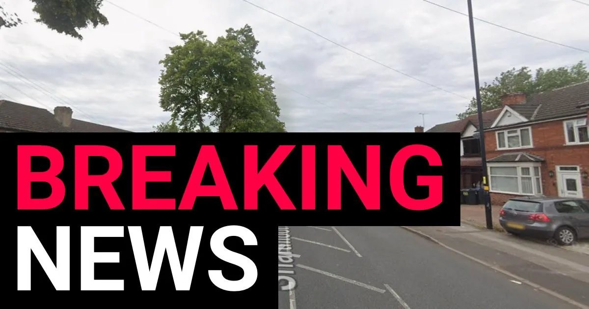 Fatal Collision Claims Teenager’s Life: Man Held Following Tragedy