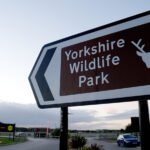 Fatal Encounter: Man Dies in Yorkshire Wildlife Park Tiger Mauling