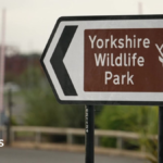 Fatal Encounter: Tiger Attack Claims Life at Yorkshire Wildlife Park