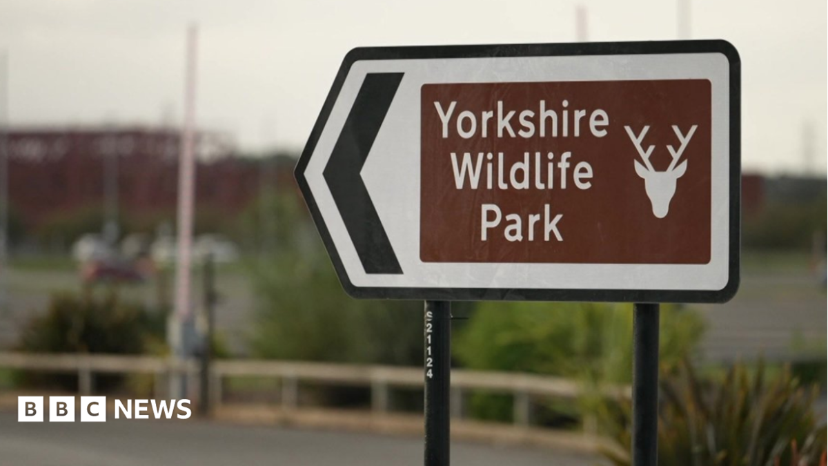 Fatal Encounter: Tiger Attack Claims Life at Yorkshire Wildlife Park