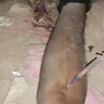 Fatal Fix: Punjab Man Found Dead With Syringe Still Clutched in Hand