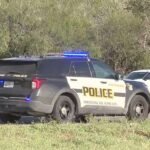 Fatal Hit-and-Run Leaves Victim Abandoned Along South Side Interchange