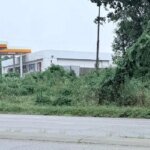 Fatal Shooting Behind Durham Business Sparks Homicide Investigation