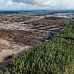 Finnish Watchdog Pulls Plug on Google Data Center Expansion Over Environmental Oversight