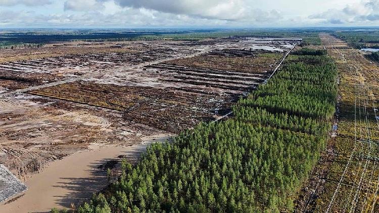 Finnish Watchdog Pulls Plug on Google Data Center Expansion Over Environmental Oversight
