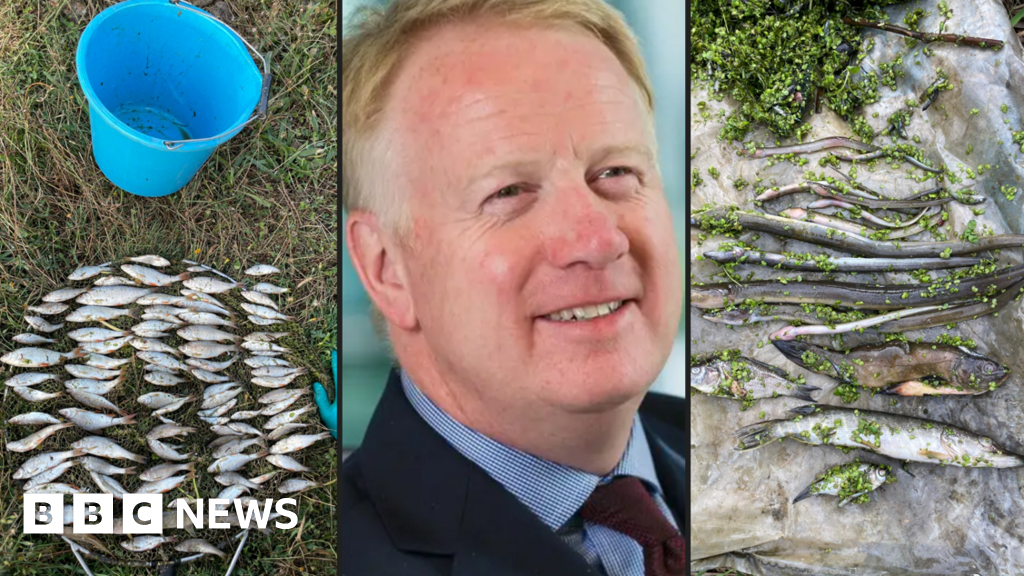 Flush with Failure: Essex Sewage Scandal Drains CEO’s Millions
