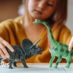 From Assembly Line to Aisle: The 7,000-Mile Odyssey of a Global Toy