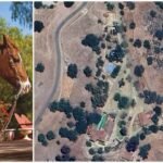 From Overwhelmed to Overjoyed: How Noah Wyle Transformed His Massive Santa Ynez Ranch Into a Personal Sanctuary
