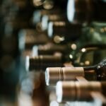 From Vine to Vintage: Mexico Breaks Ground on Official Wine Appellation Status