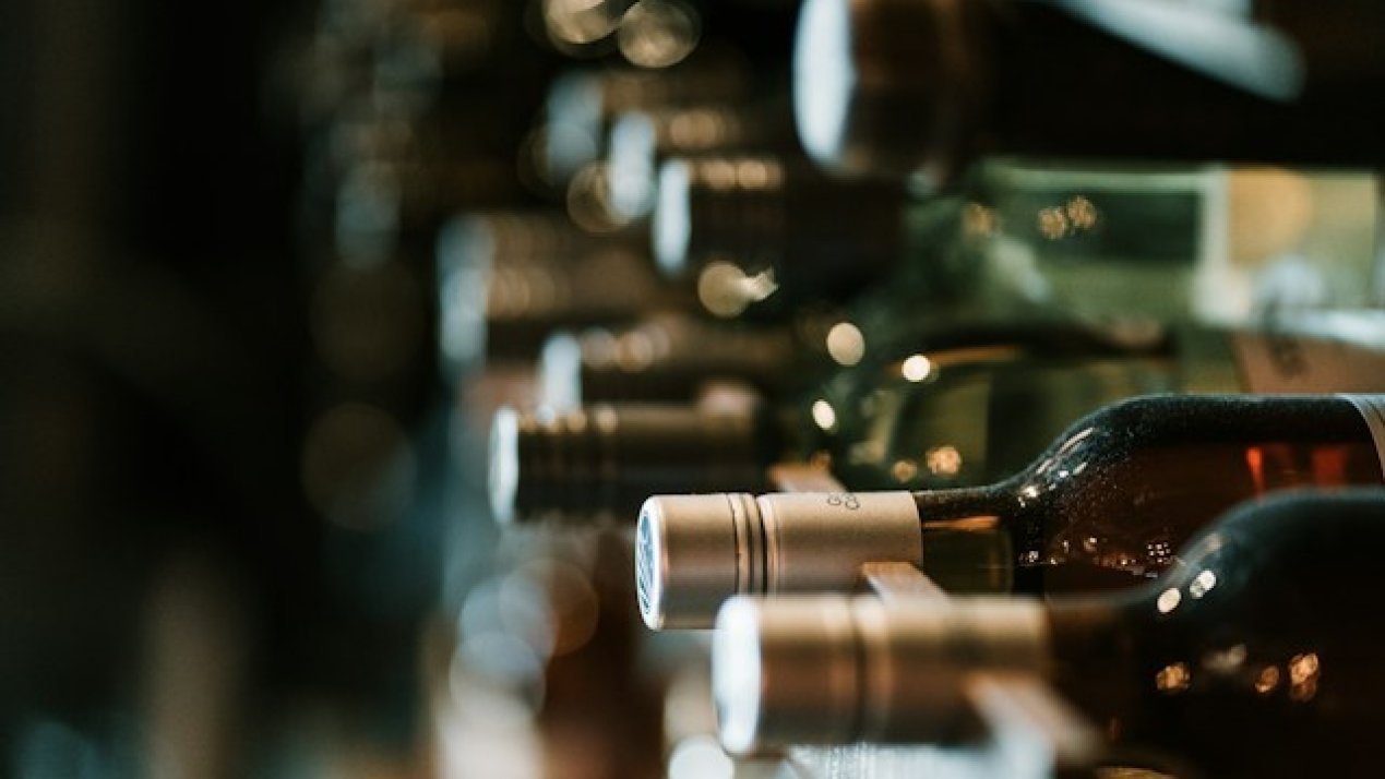 From Vine to Vintage: Mexico Breaks Ground on Official Wine Appellation Status